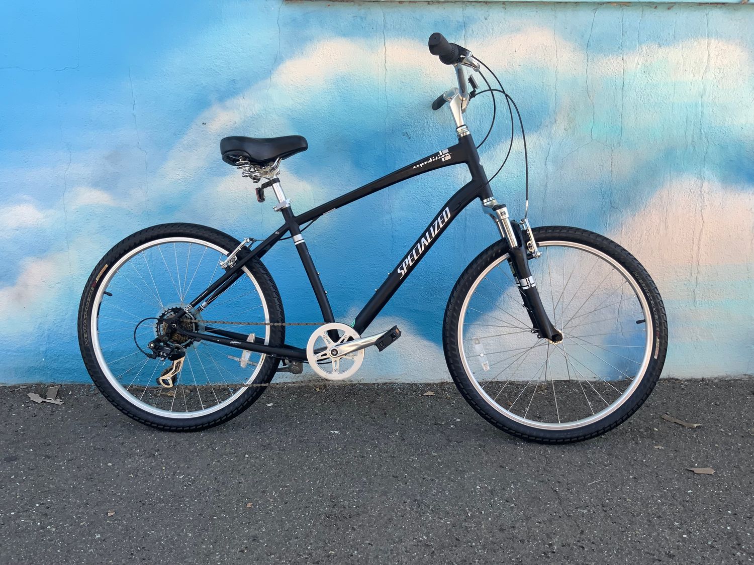 used, Specialized Expedition, large, black
