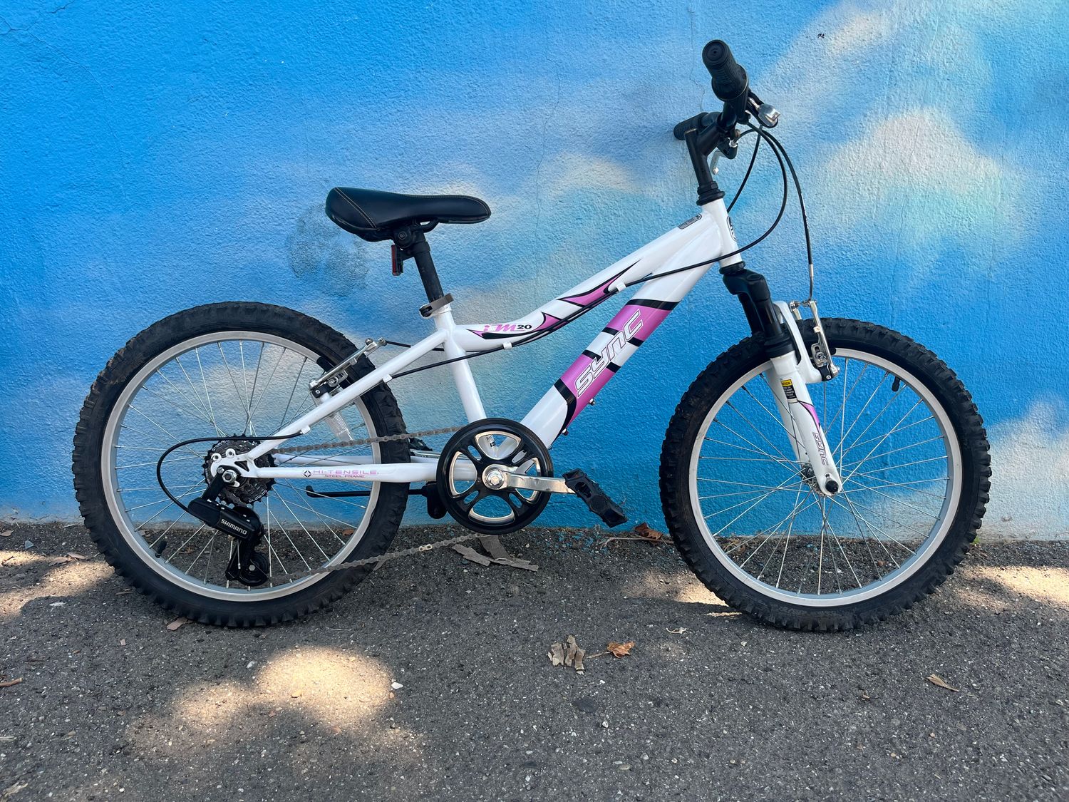 used Sync iM20 6-speed 20&quot; wheel, white/pink