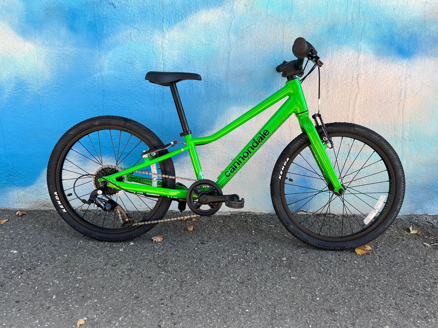 used Cannondale Quick 7-speed, green, 20&quot; wheel