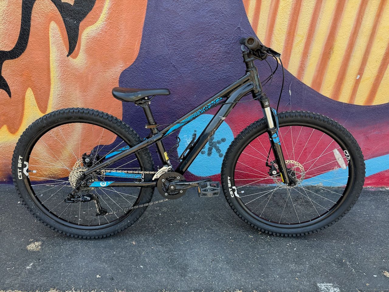 Used Specialized PSERIES Black 26&quot; Small