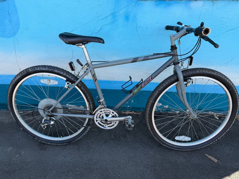 Used Bridgestone Trailblazer Gray 17&quot;