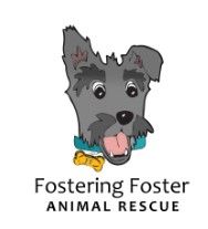 Fostering Foster Food Drive