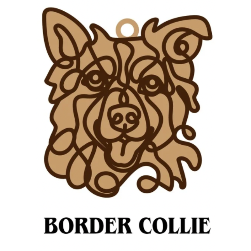 Border Collie