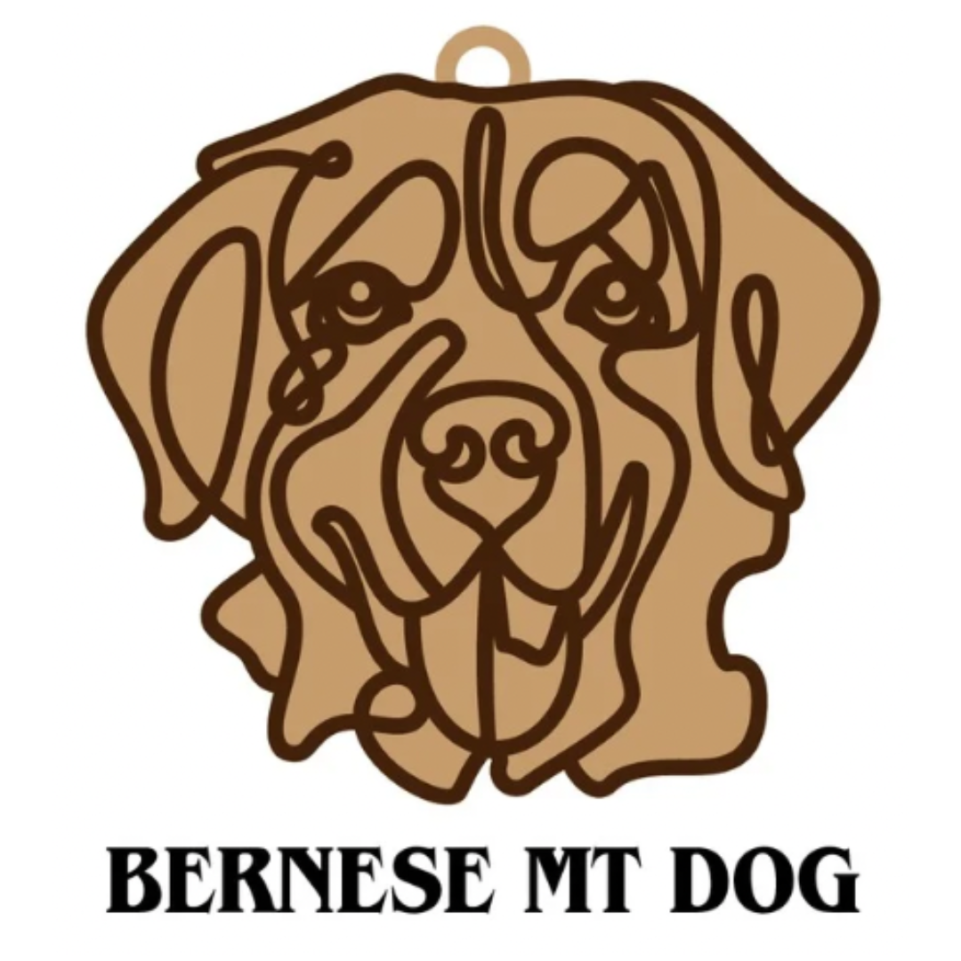 Bernese Mt Dog