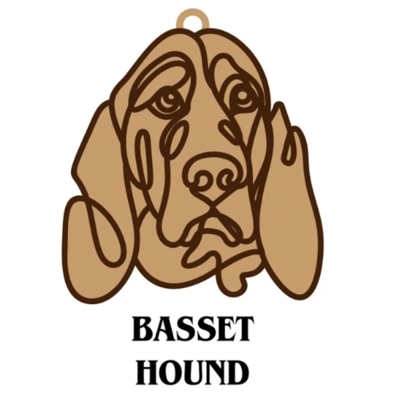 Basset Hound
