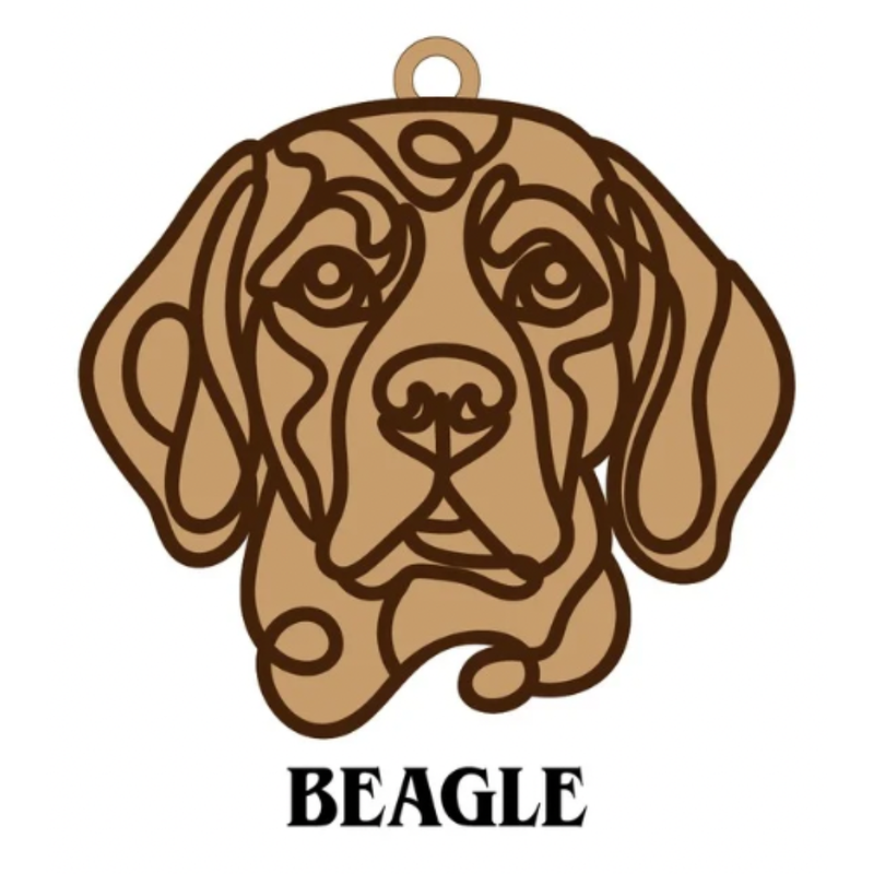 Beagle