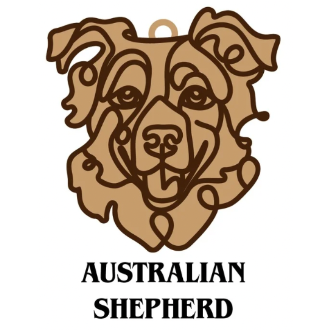 Australian Shepherd