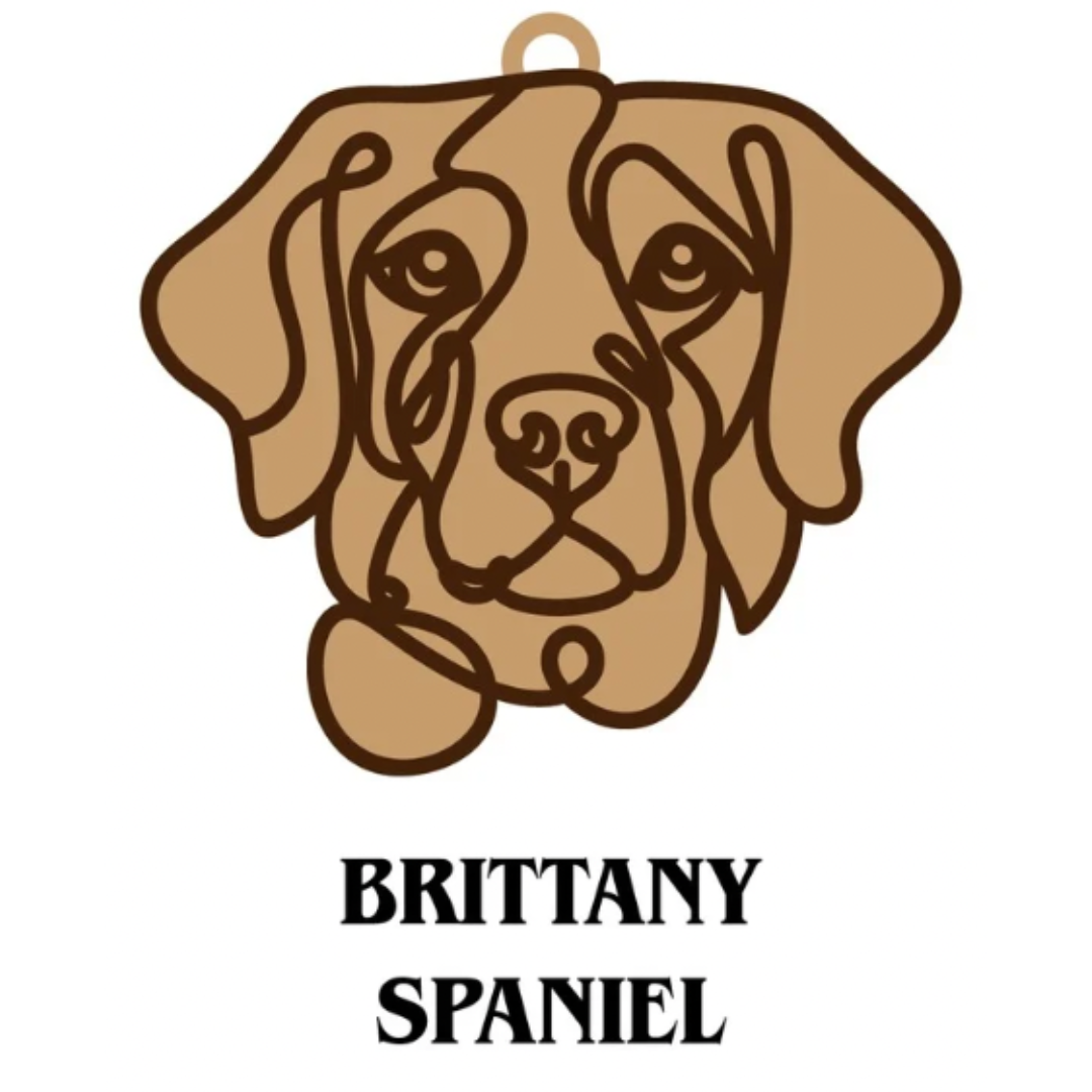 Brittany Spaniel
