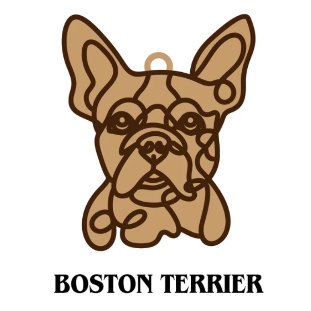 Boston Terrier
