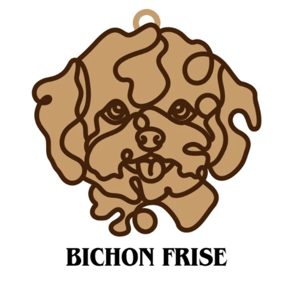 Bichon Frise