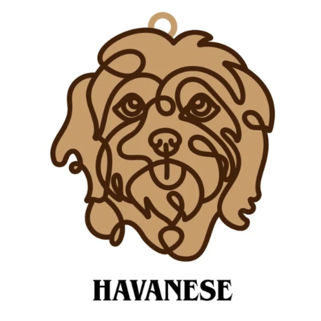 Havanese
