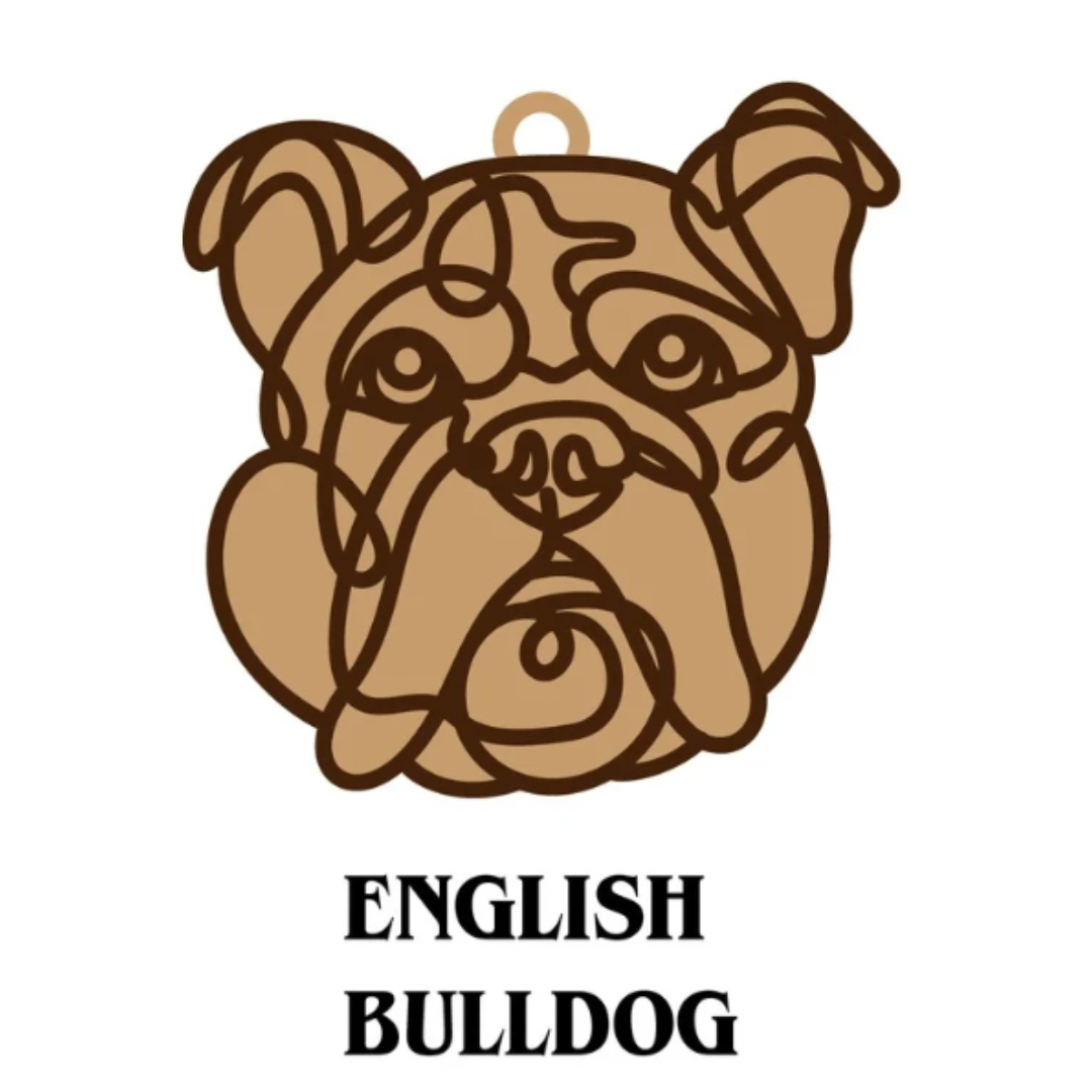 English Bulldog