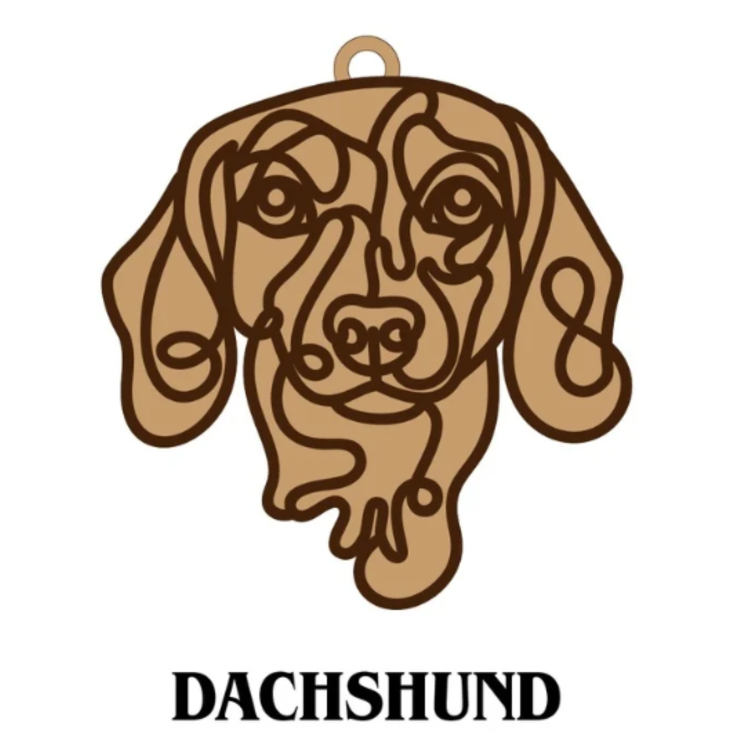 Dachshund