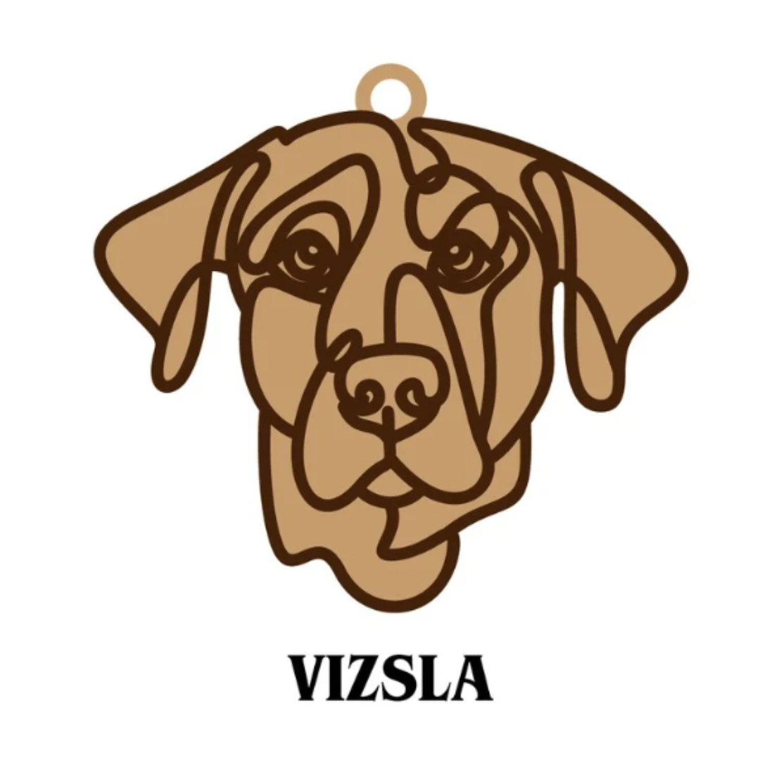 Vizsla