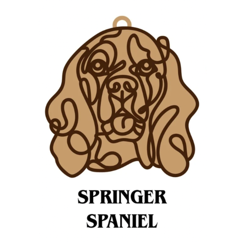 Springer Spaniel