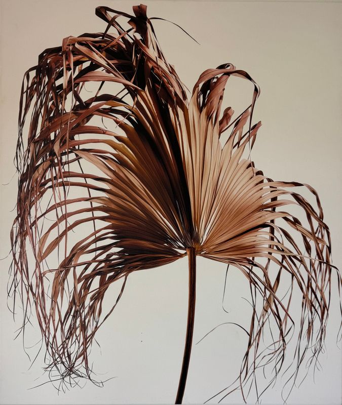 DRIED PALM  34X40 - ROLLED ONLY/NOT FRAMED