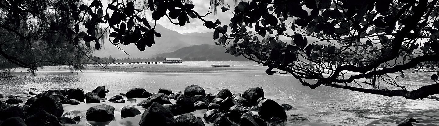 HANALEI RIVER VIEW - ROLLED