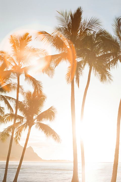 MAKANA SUNSET