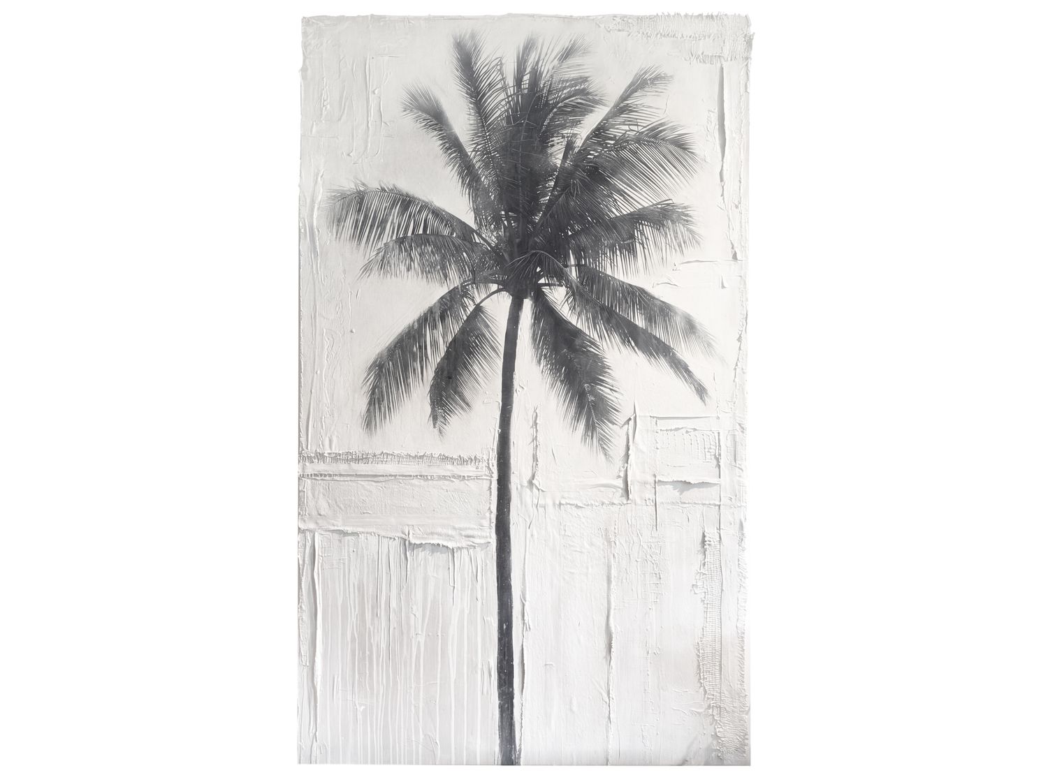 PALM #65 40"x70"