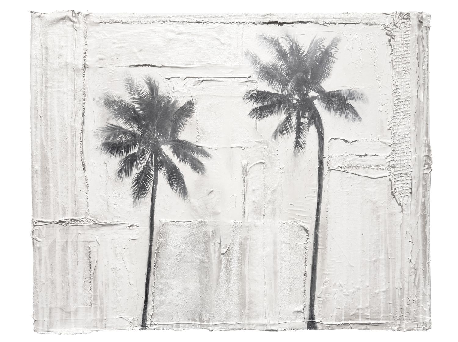PALM #69 24"x30"