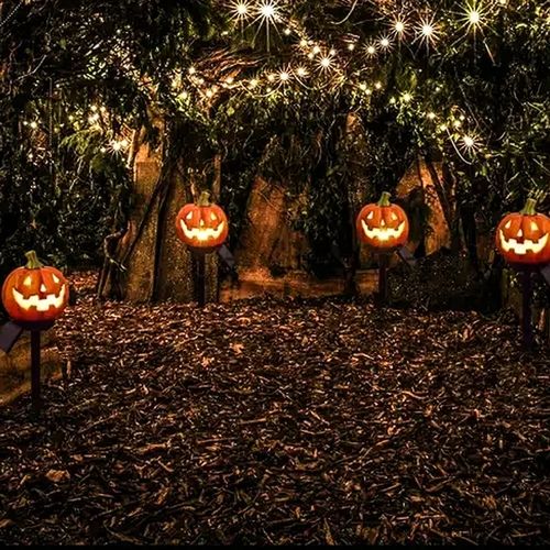 Solar Pumpkin Lights