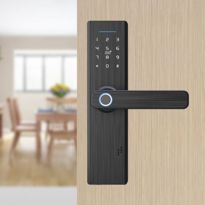 Home fingerprint, PIN, IC CARD Spherical Door smart lock