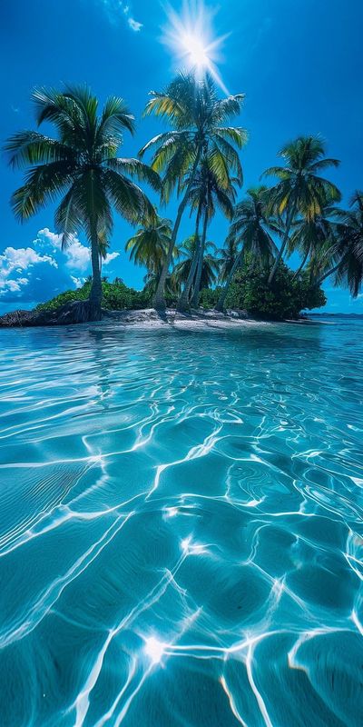 Paradise Collection