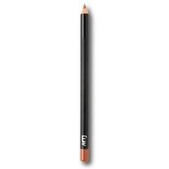 LIP PENCIL SPICY SAUCE