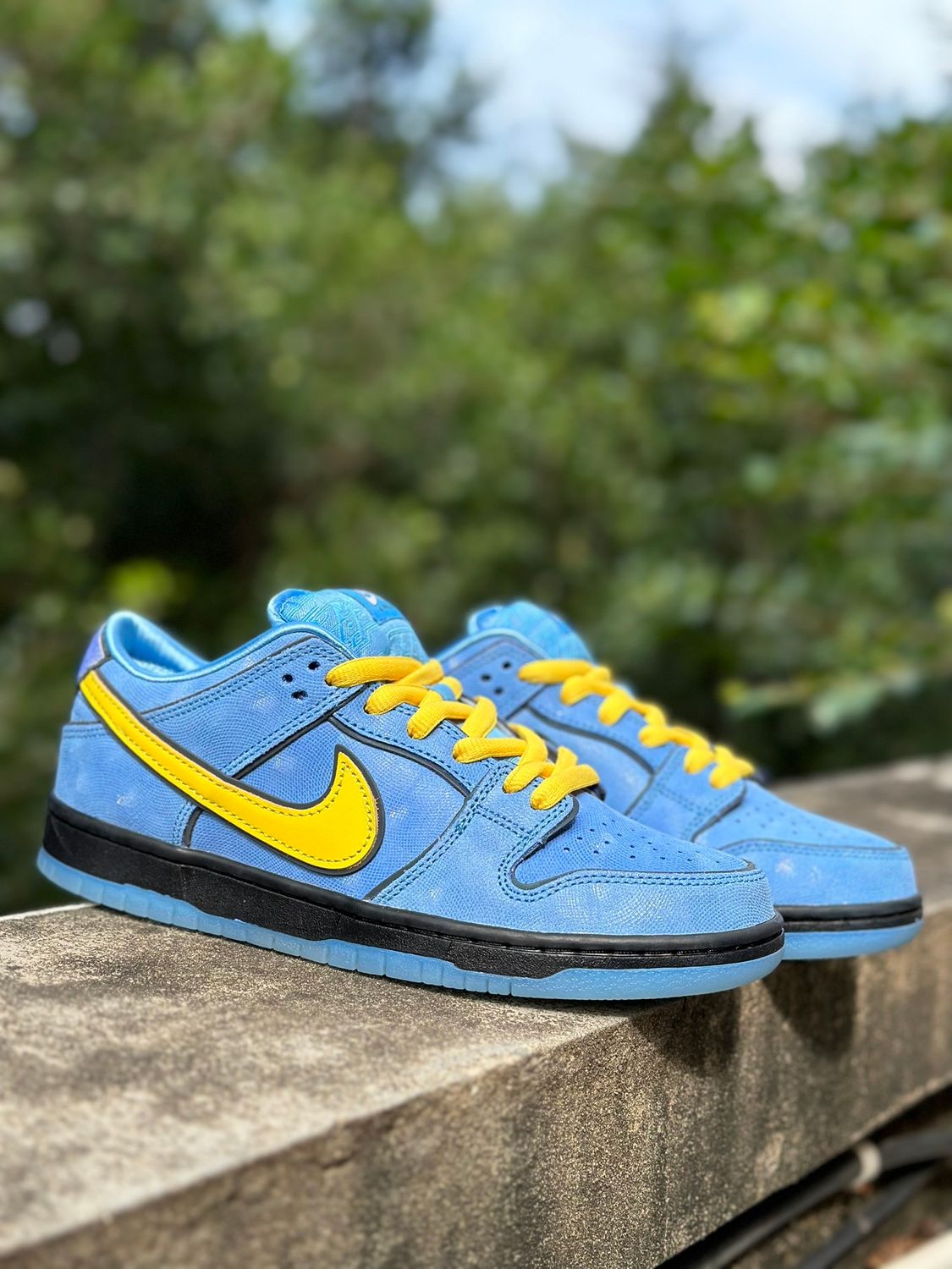 Dunk Low SB Power Puff Girl