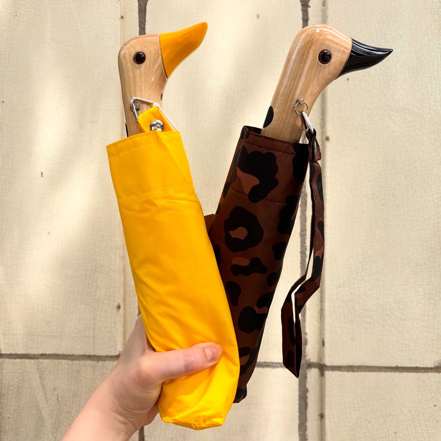 Duckhead Umbrella |
