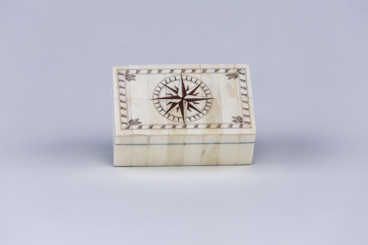 5&quot; Compass Rose with Border Bone Box
