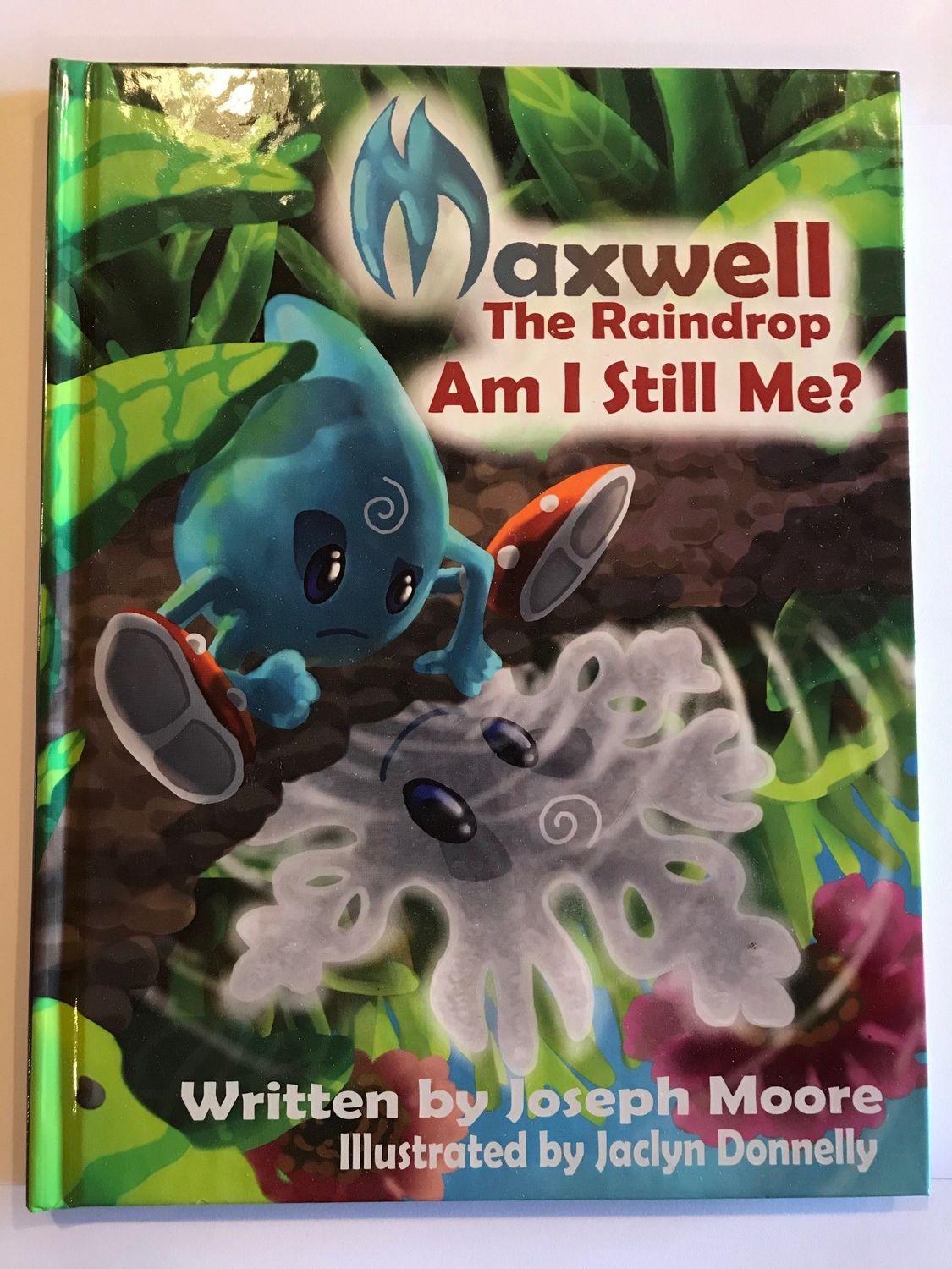 Maxwell the Raindrop - Am I Still Me? - Hardback