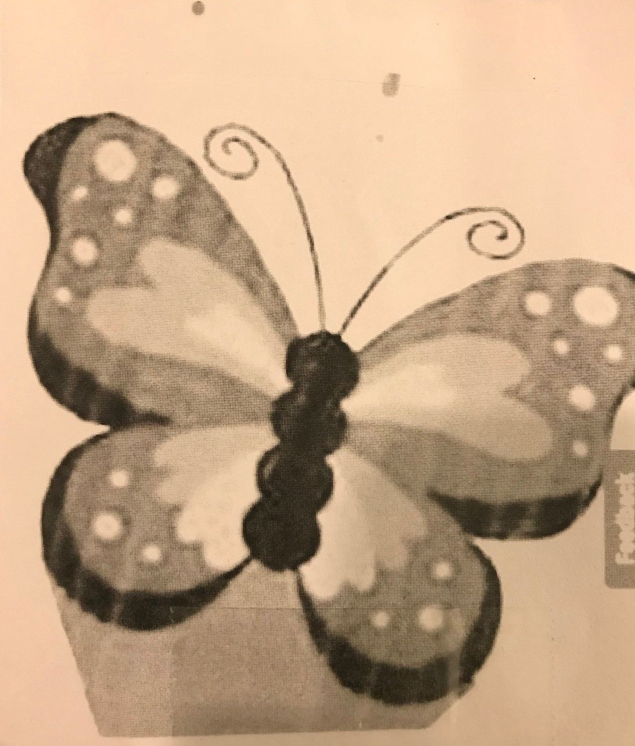 Kite w/ Tail - Butterfly