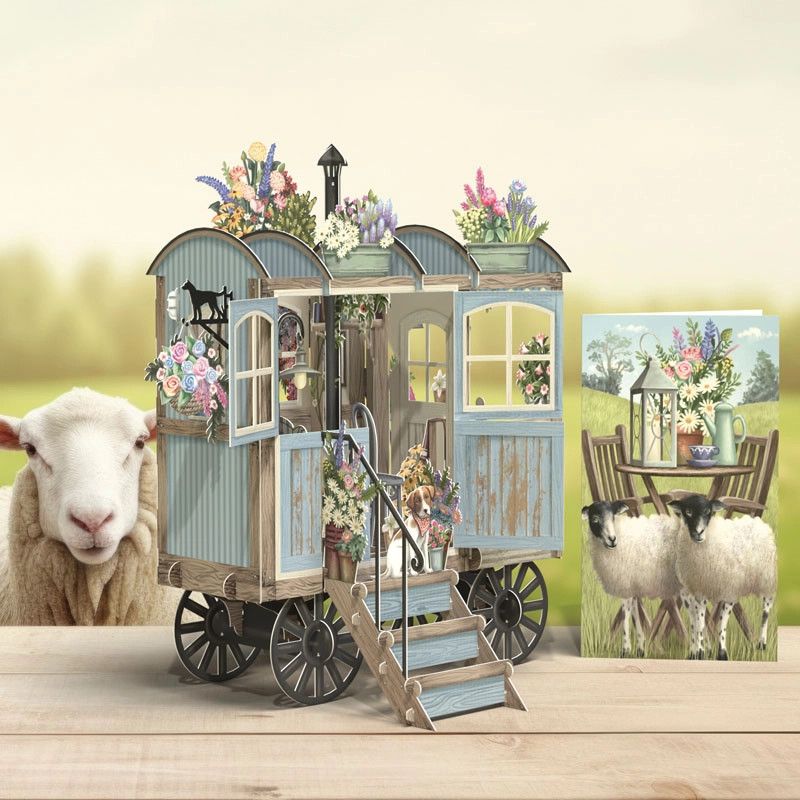 3D Pop Up Betty Blue Greeting Card Paper D'art