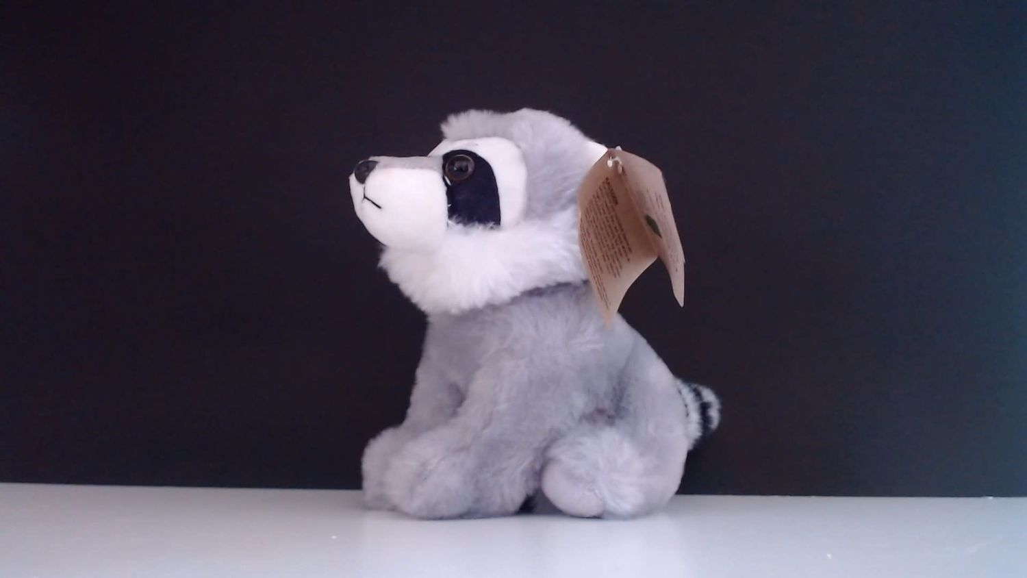 Raccoon Plush 6"