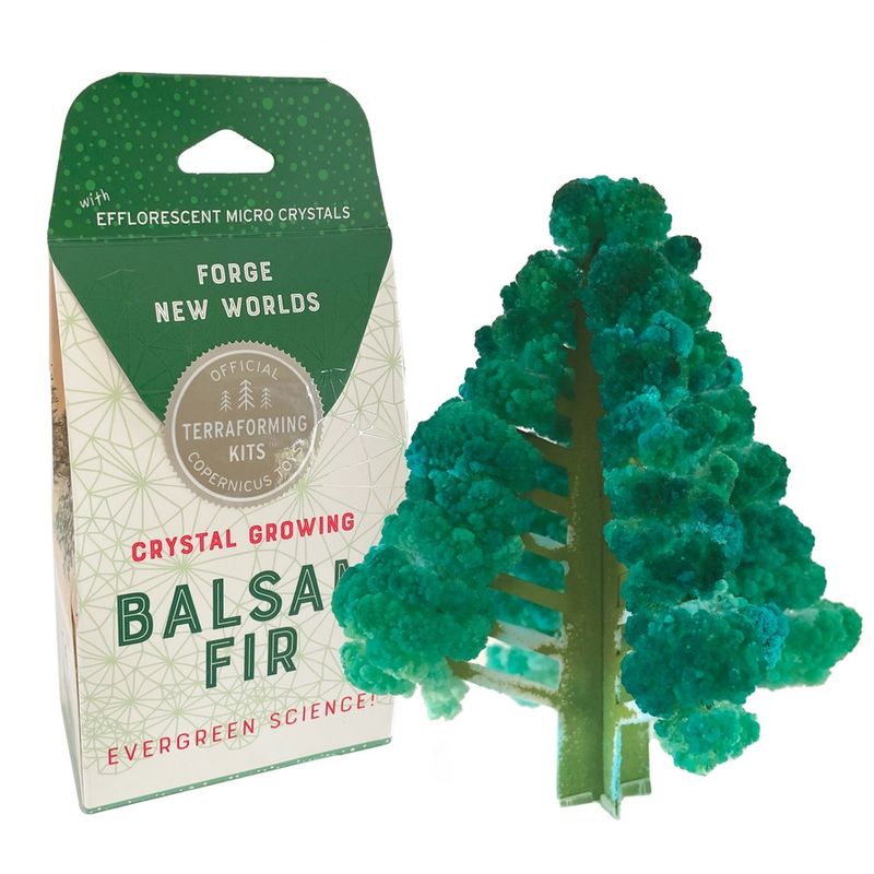 Crystal Growing Balsam Fir | Stem Craft Kit