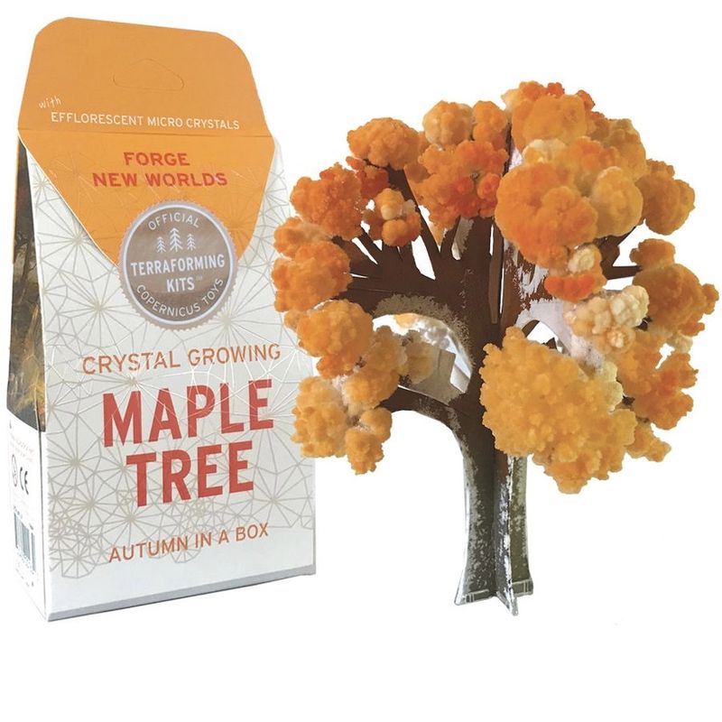 Crystal Growing Maple Tree |  Craft Kit Science Kit