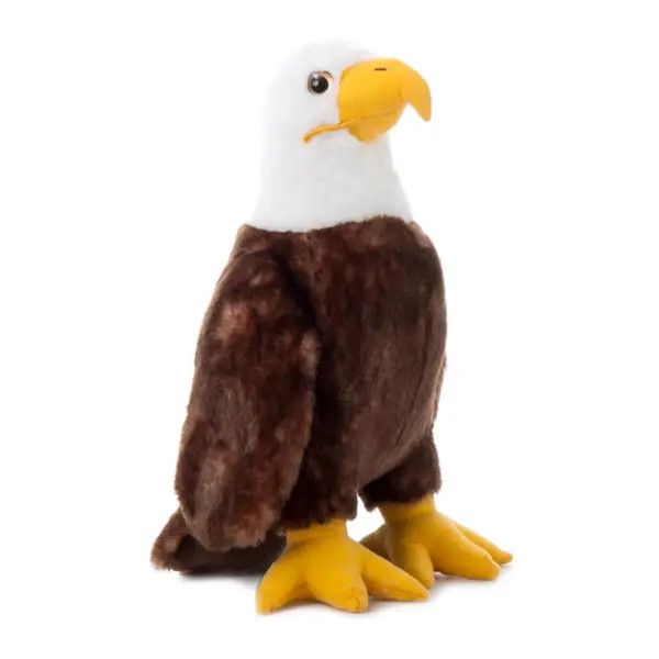 12" (30cm) Wild Onez Bald Eagle