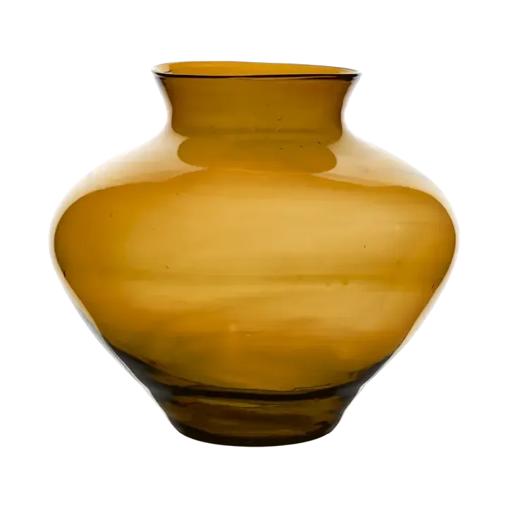 Vaas Amber M