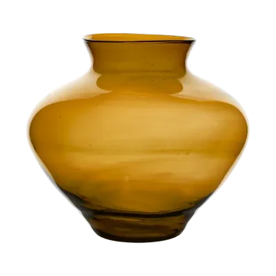 Vaas Amber M