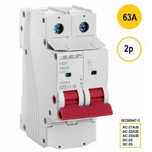 SEP HS1 Hoofdschakelaar 2p 63A (415V)