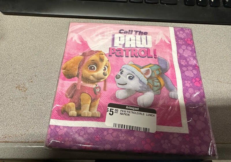 PAW PATROLGIRLS  LUNCH NAPKIN