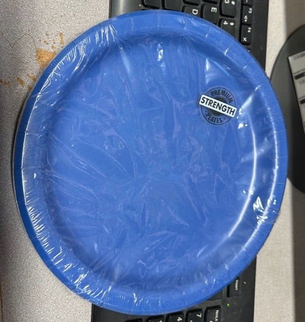 True Blue Luncheon Plate  24CT