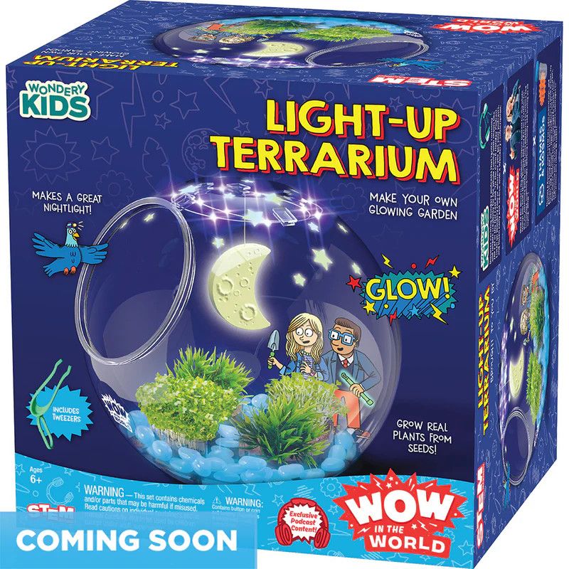 Wow in the World: Light Up Terrarium