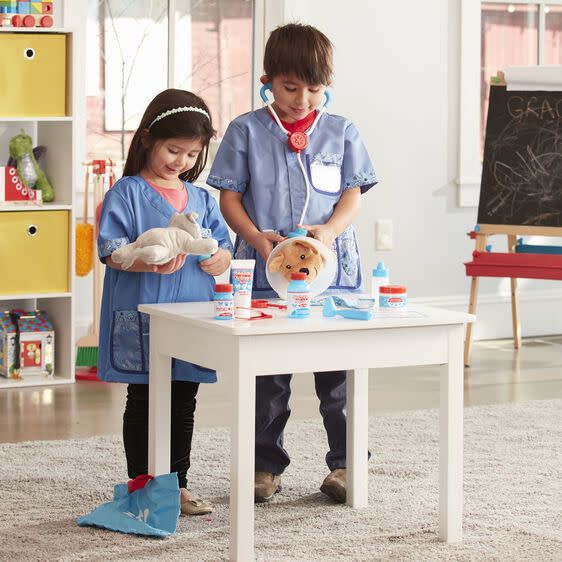 Examine and Treat Pet Vet Play Set
