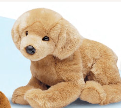Honey Golden Retriever