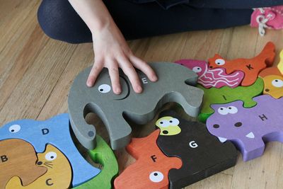 Animal Parade A to Z Puzzle