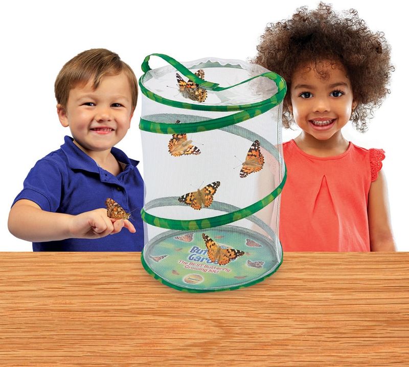 Butterfly Garden * With Voucher
