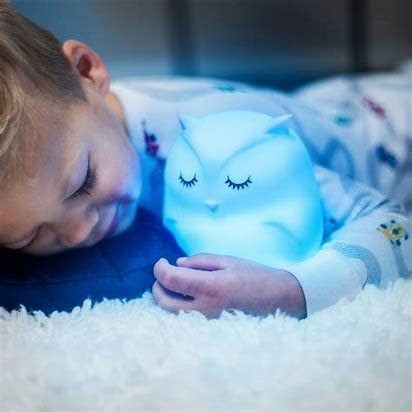 LumiPets® Night Lamp Companion - Owl