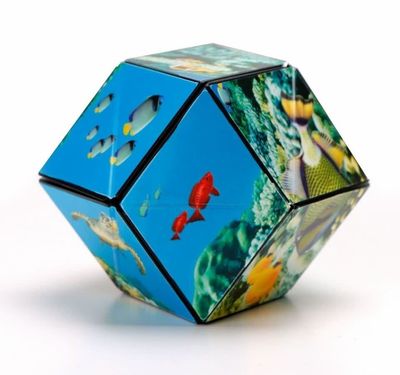 Shashibo The Shape Shifting Box - Undersea
